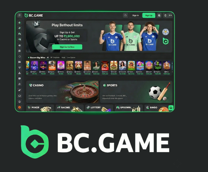 How to Efficiently Navigate BC.Game Login